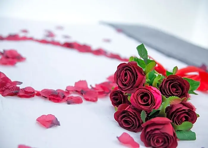 Bed & Breakfast - Il Nido D'amore Rome